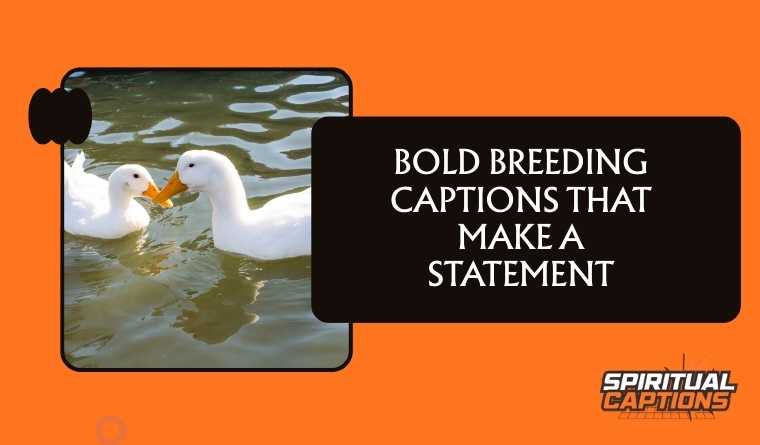 Bold Breeding Captions That Make a Statement