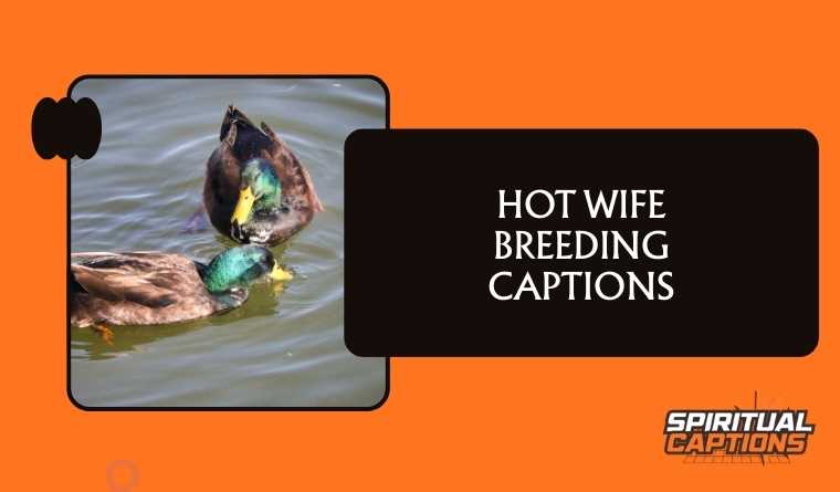Hot wife Breeding Captions