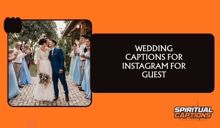 Wedding Captions for Instagram for Guest