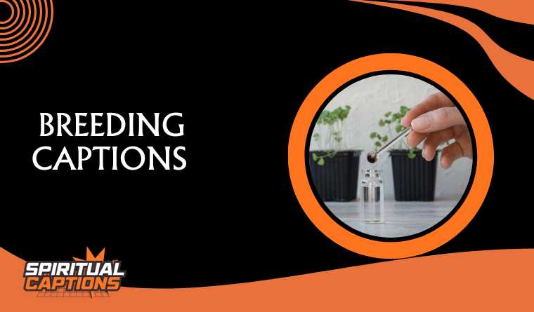 Breeding Captions